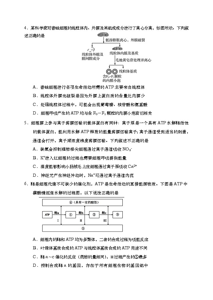 山东省青岛胶州市2020届高三上学期期末考试生物试题02