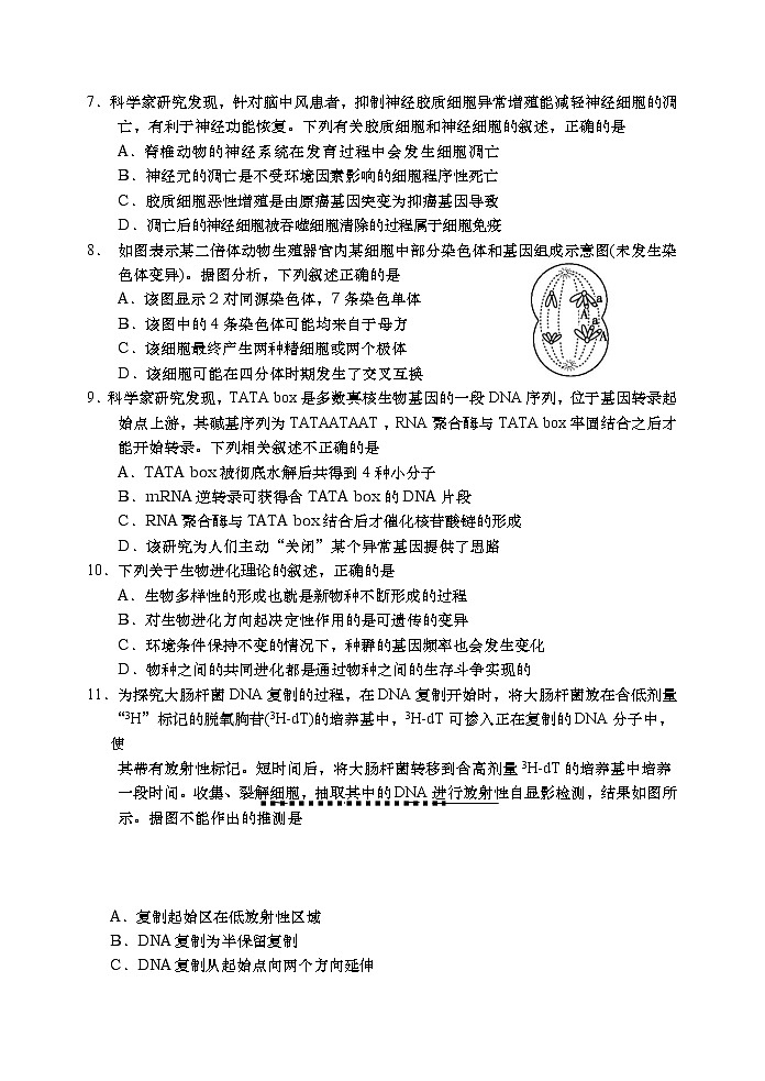山东省青岛胶州市2020届高三上学期期末考试生物试题03