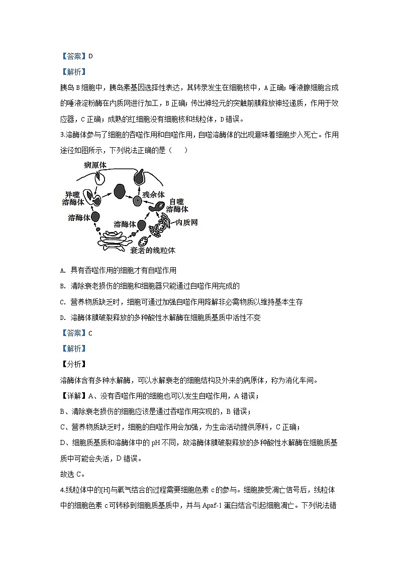 陕西省西安中学2020届高三上学期期末考试生物试题02