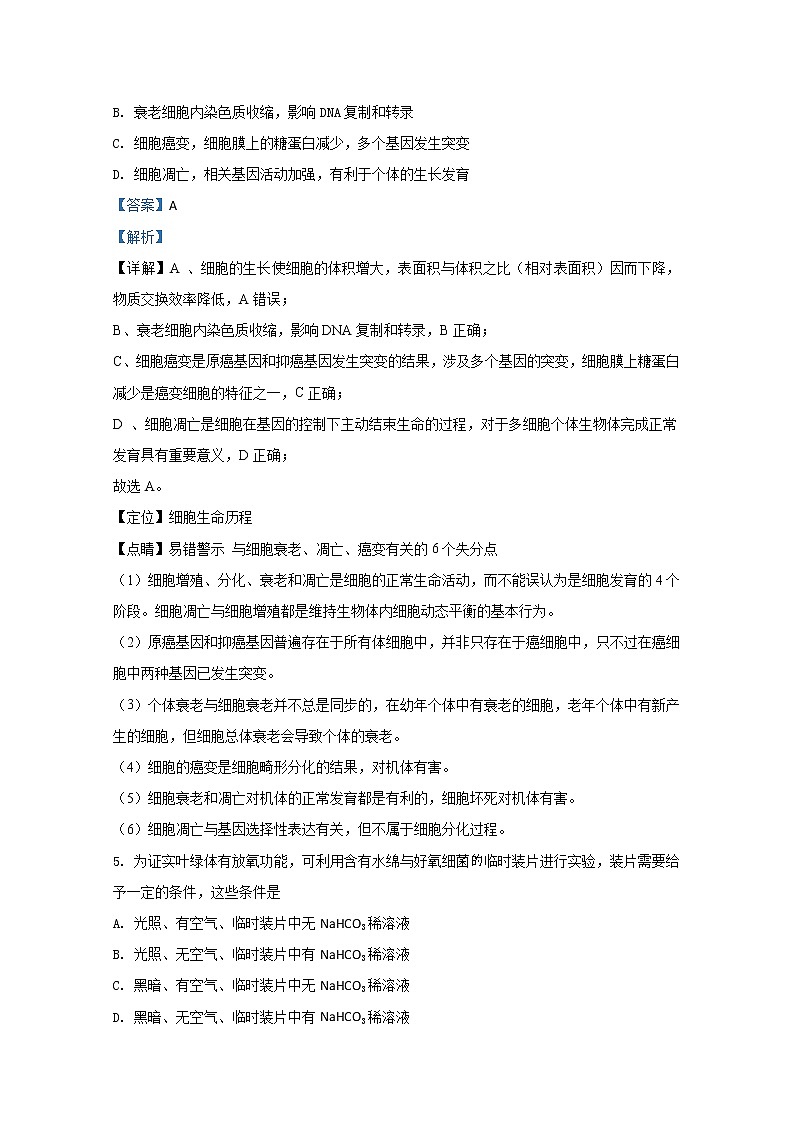 天津市部分区2020届高三上学期期末考试生物试题03