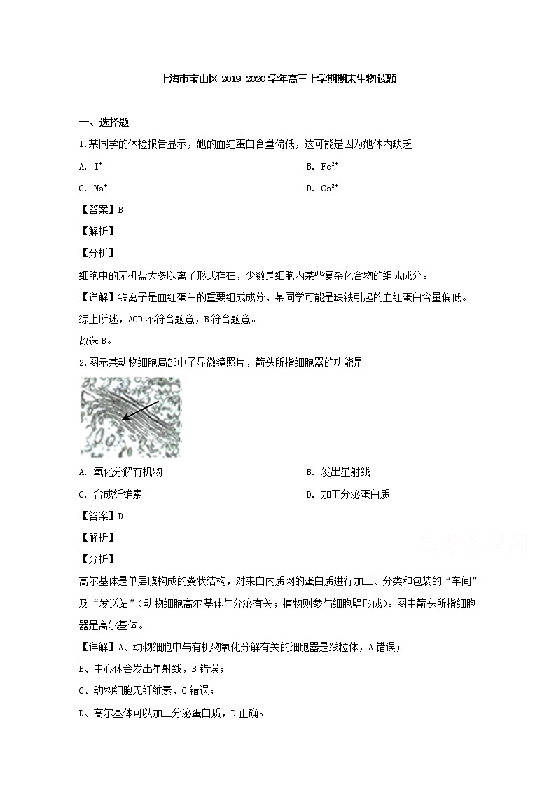 上海市宝山区2020届高三上学期期末考试生物试题01