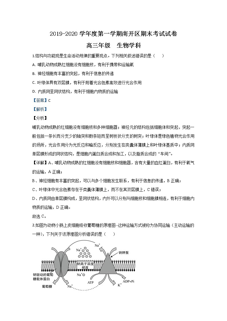天津市南开区2020届高三上学期期末考试生物试题01