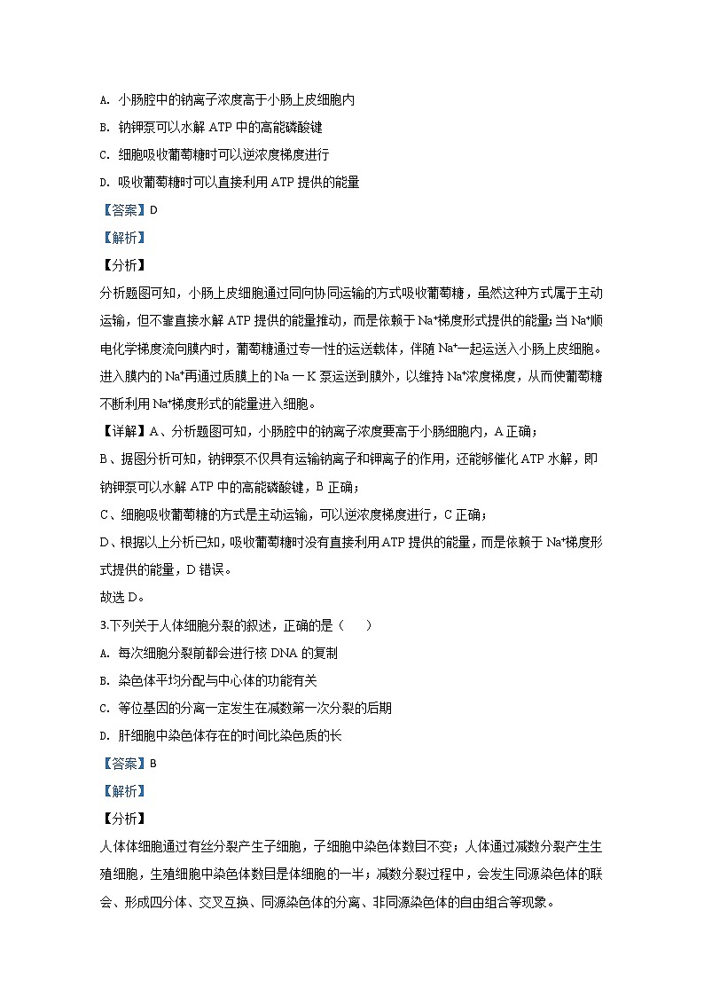 天津市南开区2020届高三上学期期末考试生物试题02