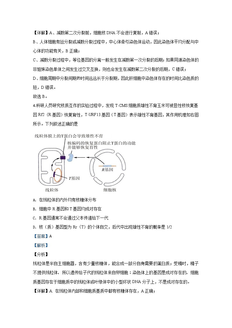 天津市南开区2020届高三上学期期末考试生物试题03