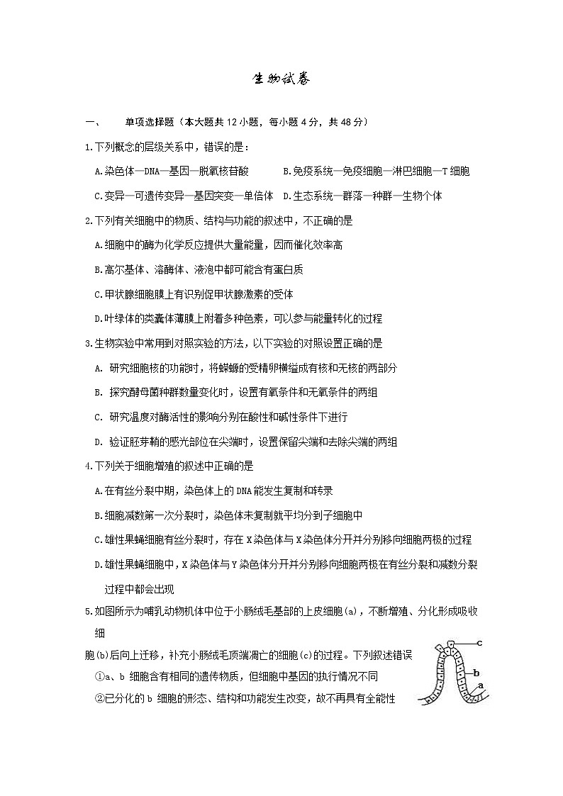 天津市西青区2020届高三上学期期末考试生物试题01