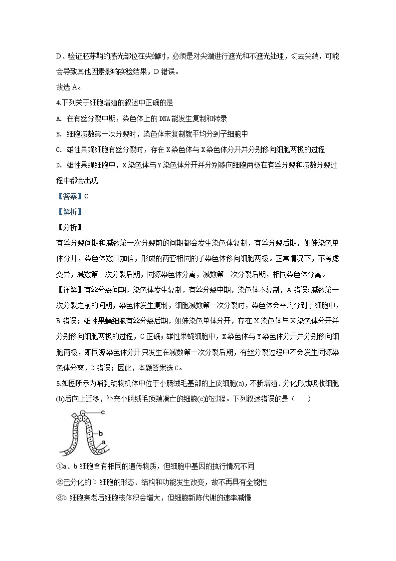 天津市西青区2020届高三上学期期末考试生物试题03