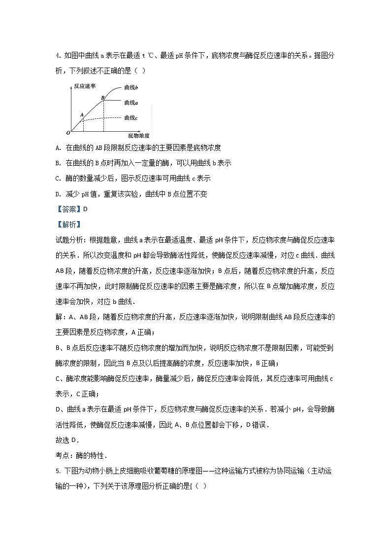 天津市2020届高三上学期期末考试模拟生物试题03