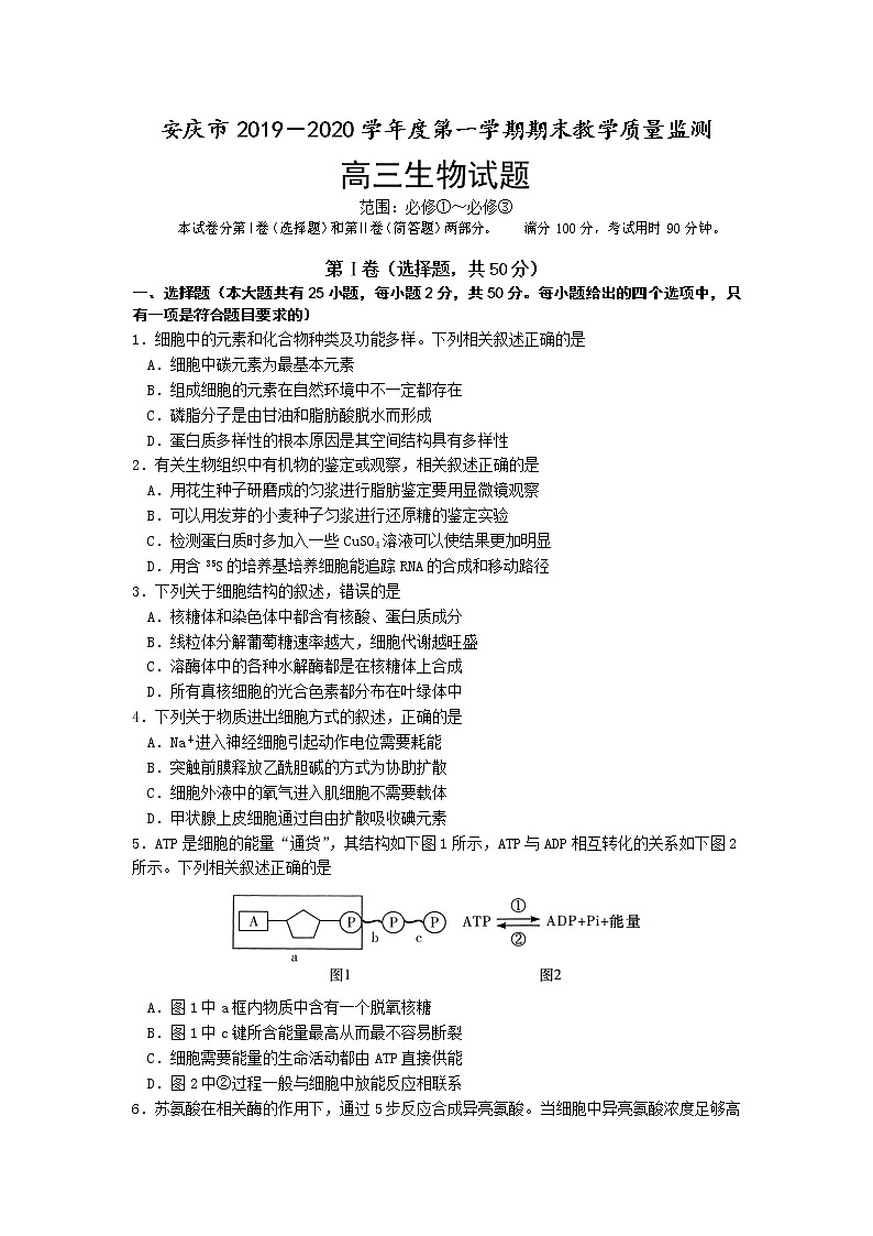 安徽省安庆市2020届高三上学期期末教学质量监测生物试题第1页