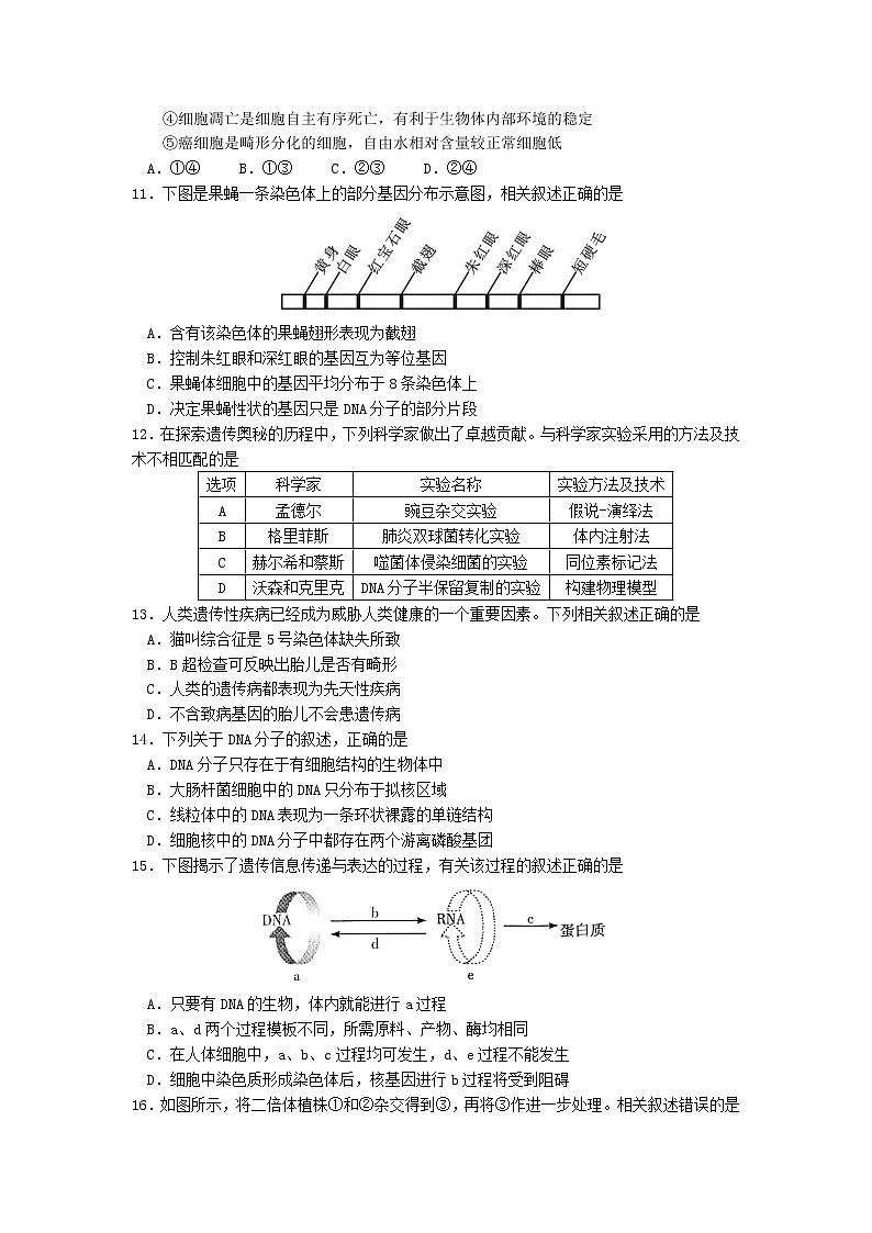 安徽省安庆市2020届高三上学期期末教学质量监测生物试题第3页