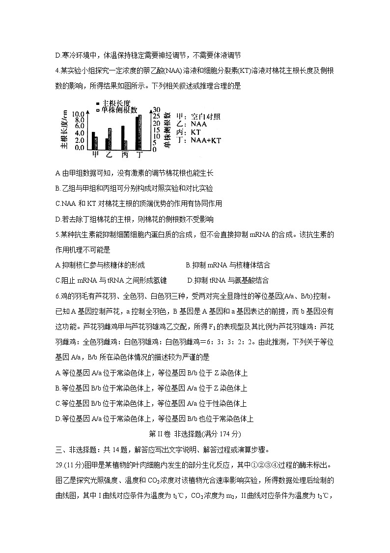 安徽省池州市2020届高三上学期期末考试 生物02