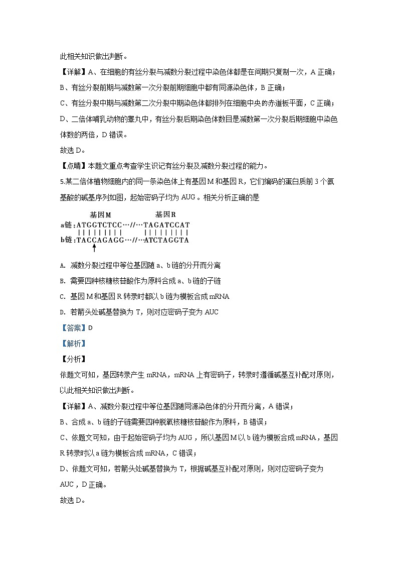 北京市东城区2020届高三上学期期末考试生物试题03