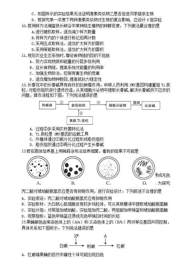 北京市通州区2020届高三上学期摸底（期末）考试生物试题03