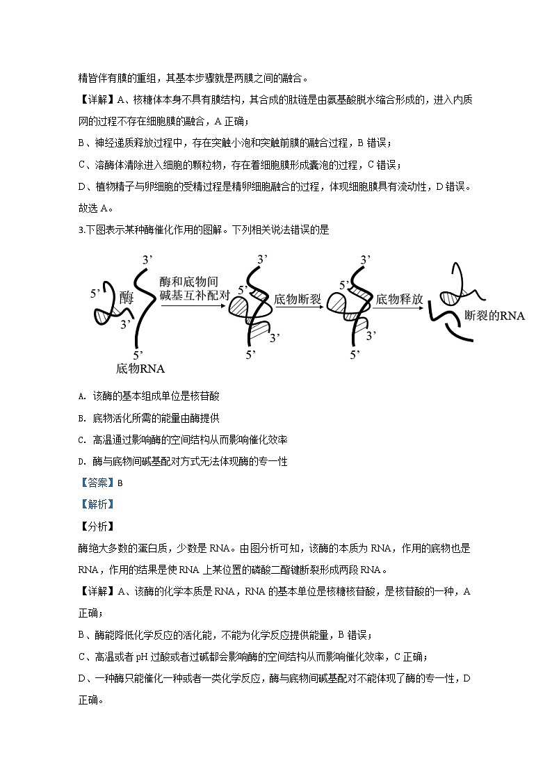 北京市通州区2020届高三上学期期末考试生物试题02