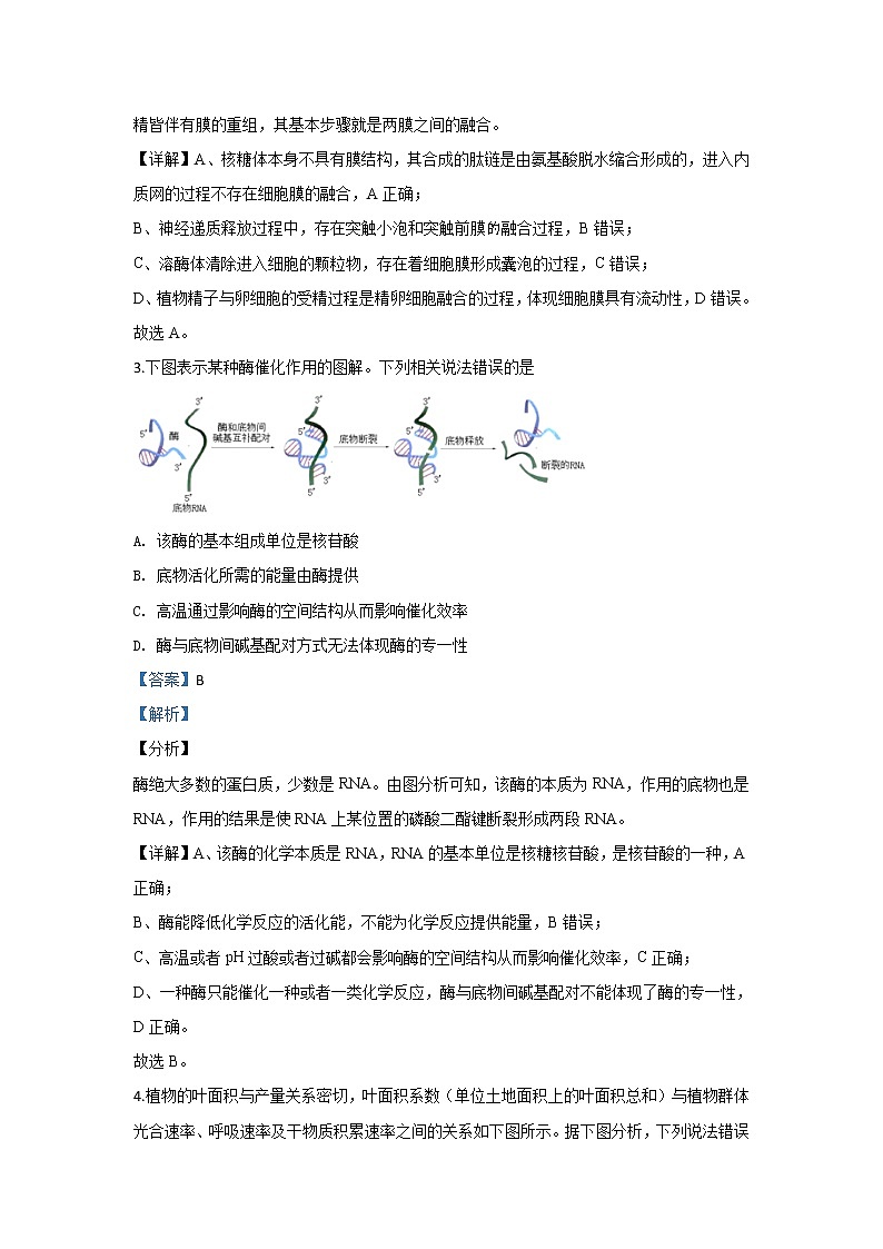 北京市通州区2020届高三上学期期末考试生物试题02