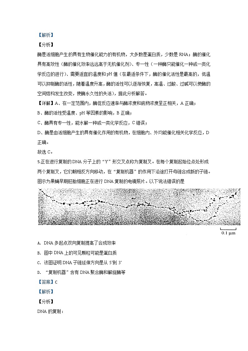 北京市西城区2020届高三上学期期末考试生物试题03