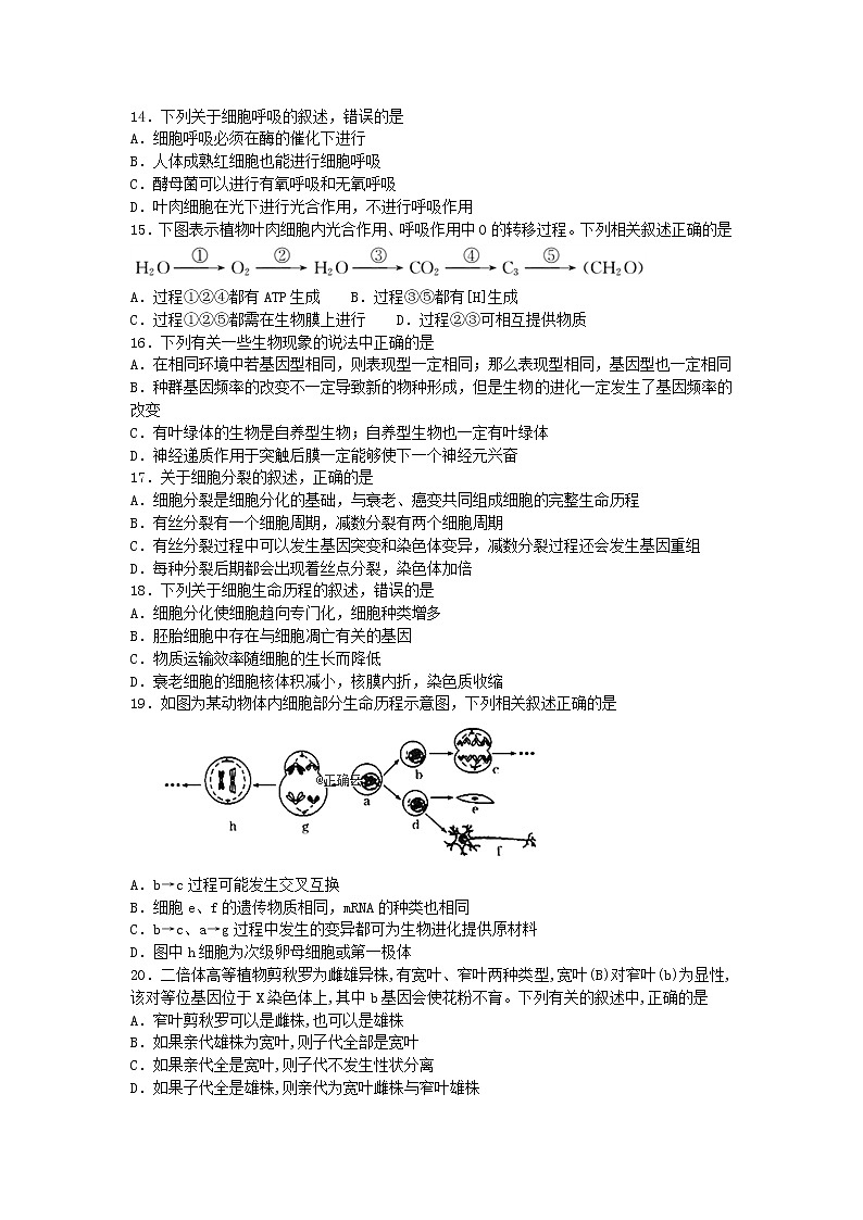甘肃省永昌四中2020届高三上学期期末考试生物试卷03
