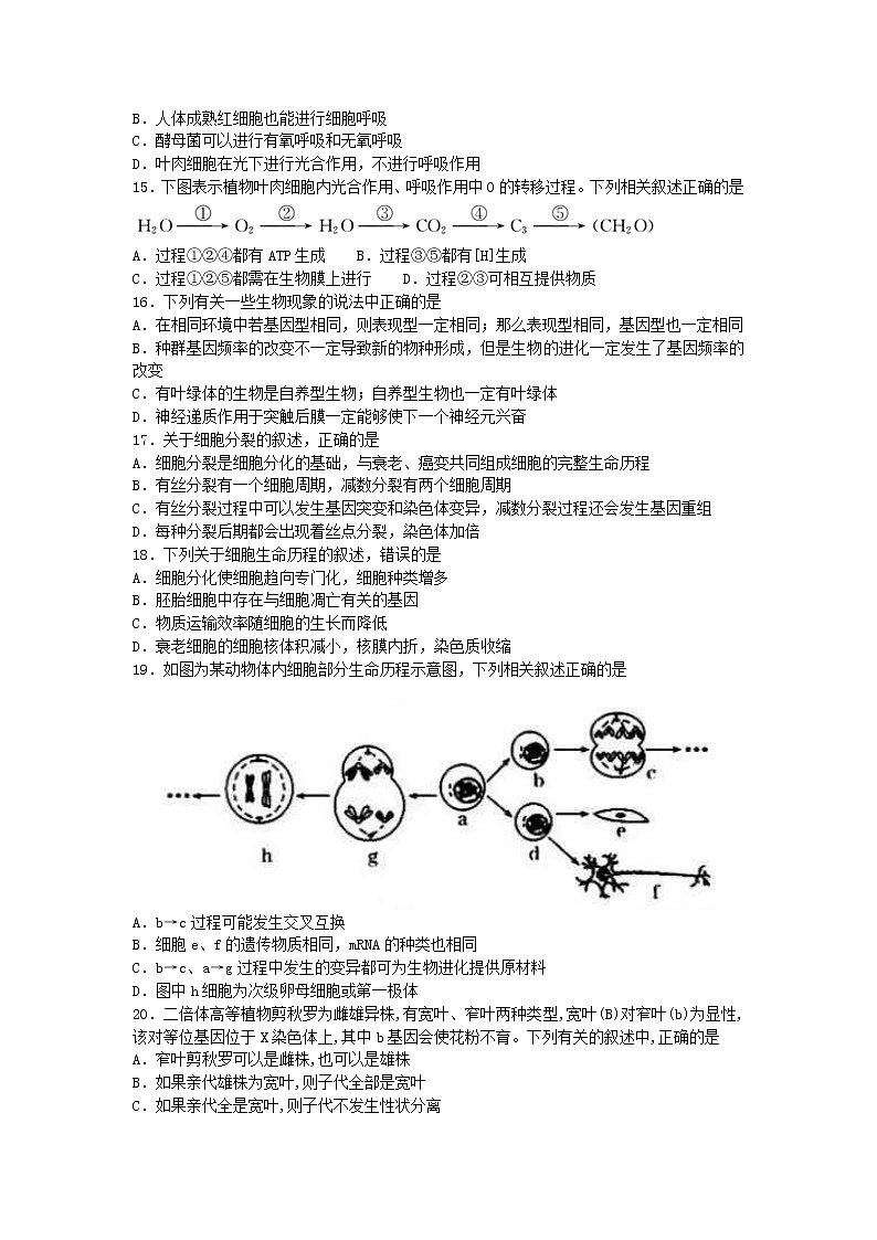 甘肃省永昌县第四中学2020届高三上学期期末考试生物试题03