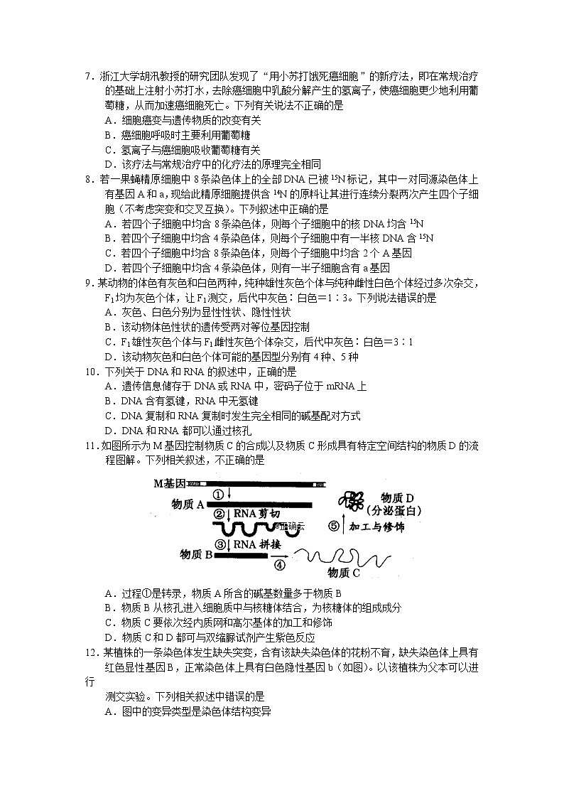 河北省鸡泽县第一中学2020届高三上学期末复习生物试卷02