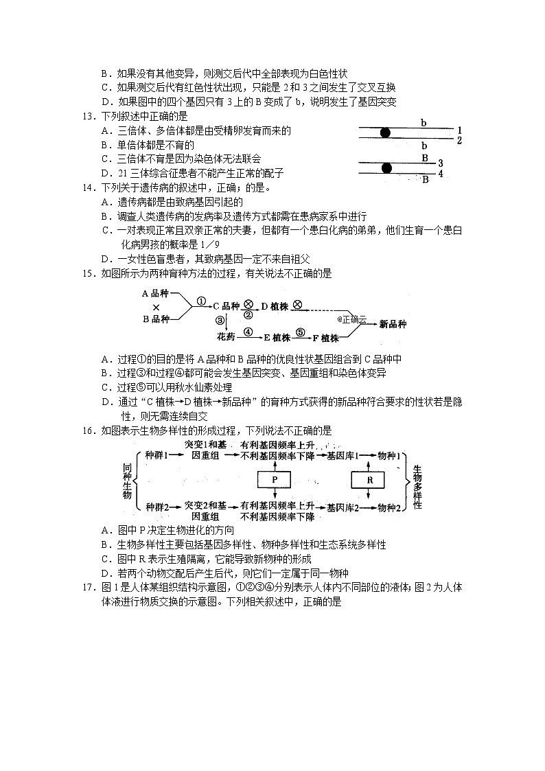 河北省鸡泽县第一中学2020届高三上学期末复习生物试卷03