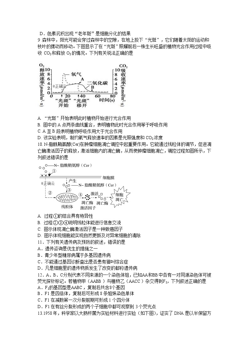 河南省鲁山县第一高级中学2020届高三上学期期末考试生物试卷02