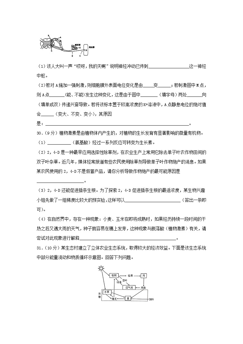 黑龙江省实验中学2020届高三上学期期末考试生物试题第3页