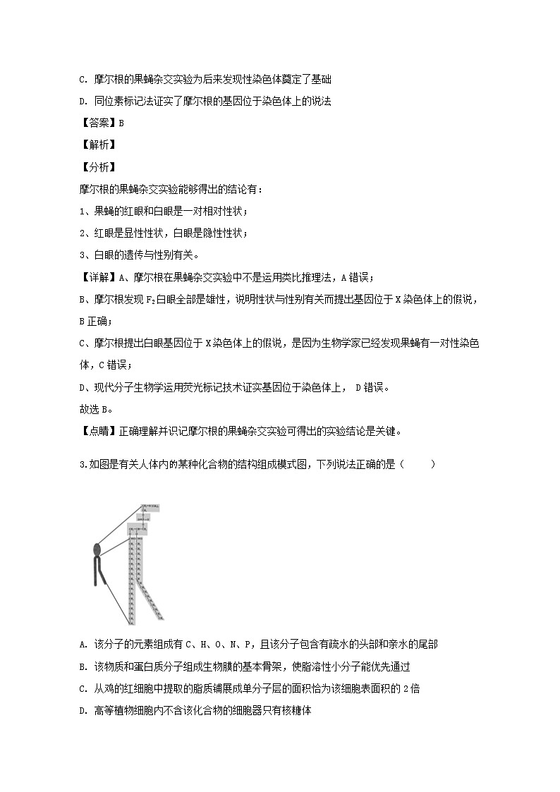 湖北省荆门市2020届高三上学期期末（1月）调研理综生物试题02