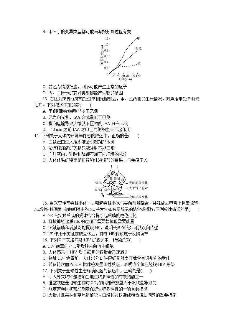 江苏省镇江市2020届高三上学期期末考试  生物03