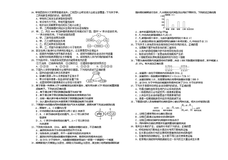 辽宁省葫芦岛市普通高中2020届高三上学期学业质量监测（期末）生物试题03