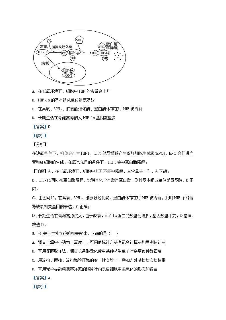 内蒙古赤峰市2020届高三上学期期末考试生物试题02