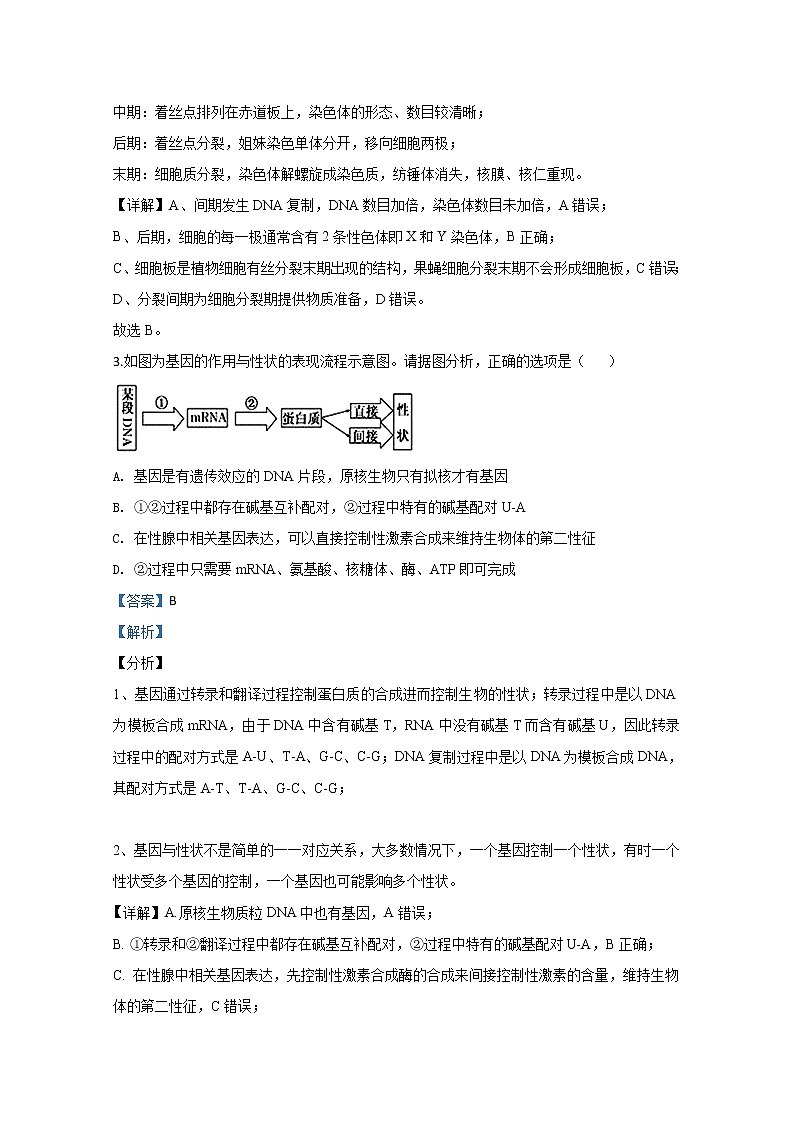 宁夏石嘴山市三中2020届高三上学期期末考试生物试题02
