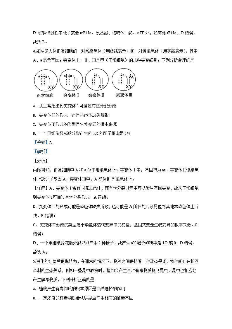 宁夏石嘴山市三中2020届高三上学期期末考试生物试题03