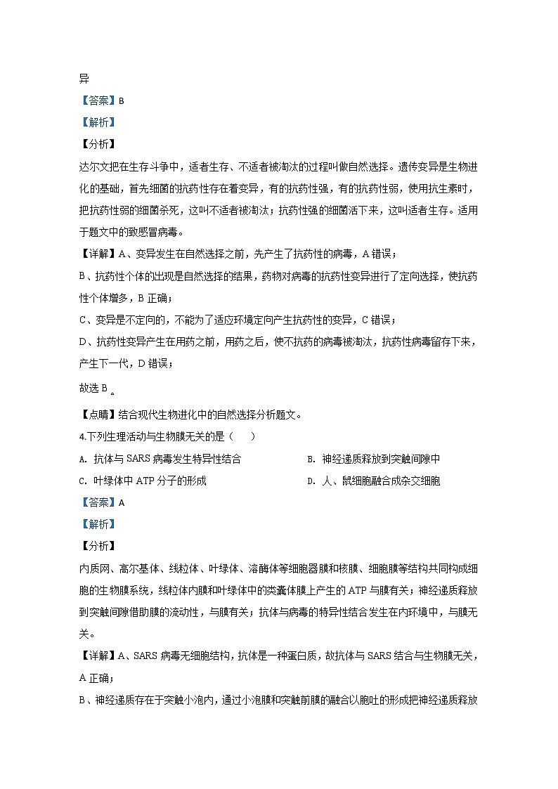 宁夏银川市六盘山高级中学2020届高三上学期期末考试生物试题（B卷）03