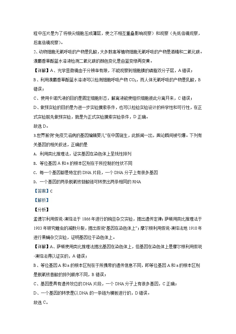 宁夏中卫市海原县一中2020届高三上学期期末考试生物试题03