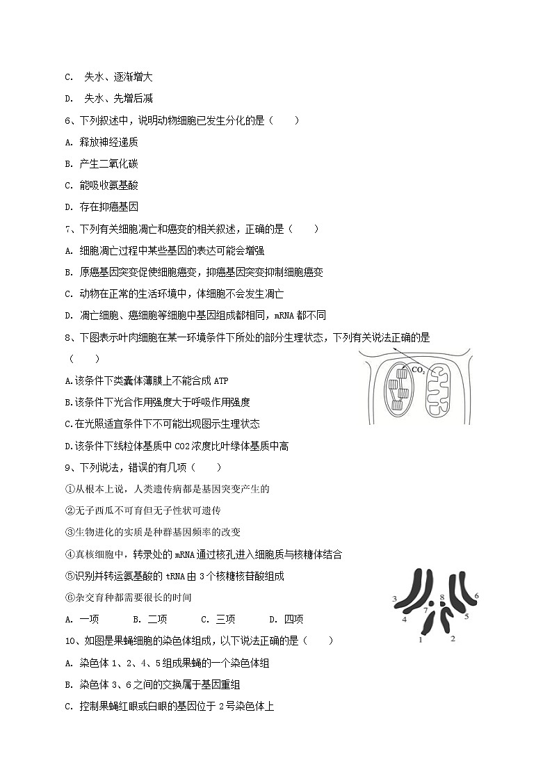 青海省西宁市六校2020届高三上学期期末考试生物试题02