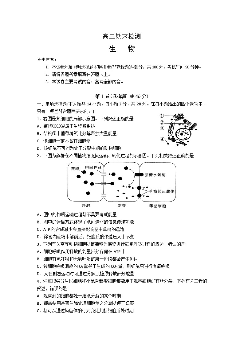 山东省临沂市2020届高三上学期期末考试生物试题01