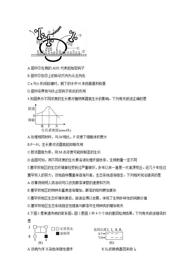 2020届百校联考高考百日冲刺金卷全国Ⅱ卷 生物（二）02