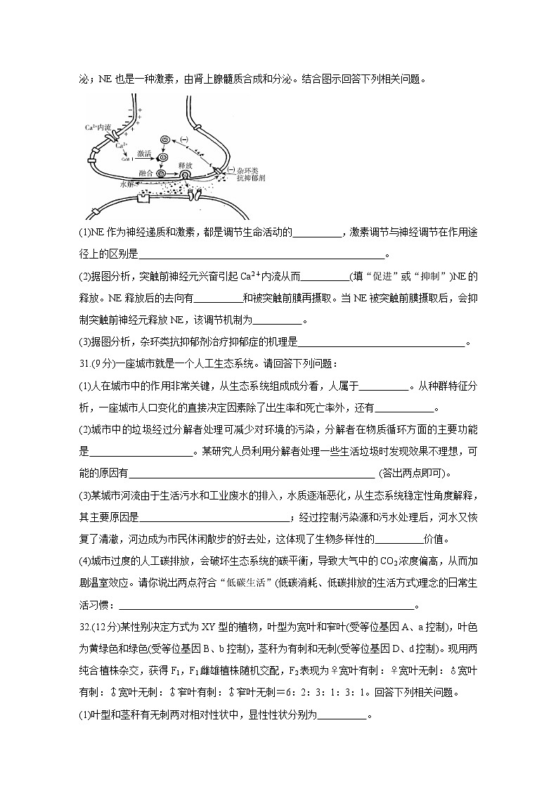 2020届百校联考高考百日冲刺金卷全国Ⅱ卷 生物（一）03