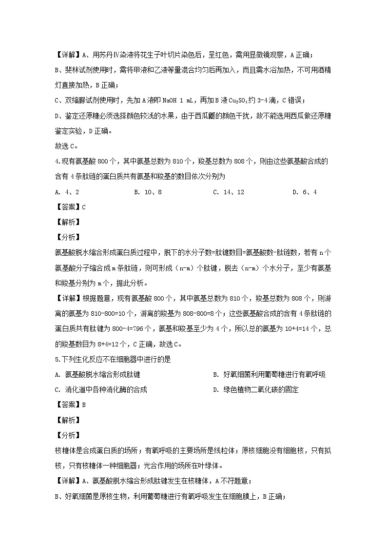 安徽省江淮十校2020届高三上学期联考（11月）生物试题03