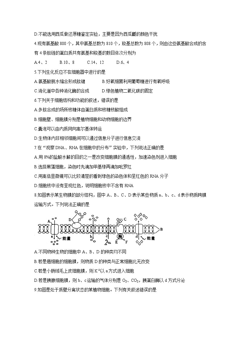 安徽省江淮十校2020届高三上学期联考试题（11月） 生物第2页