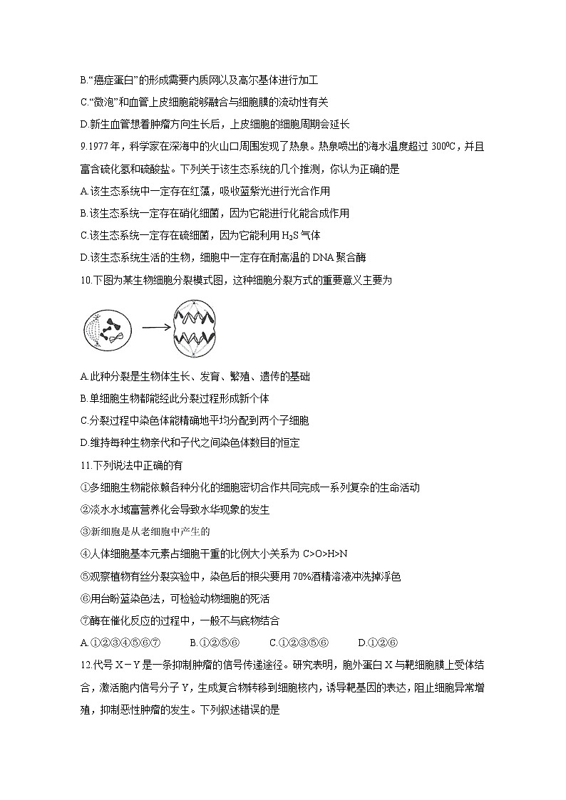 安徽省三人行名校联盟2020届高三上学期10月联考试题 生物03