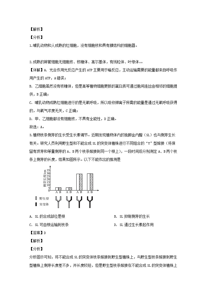 湖南省邵阳市2020届高三上学期第三次联考理综生物试题02