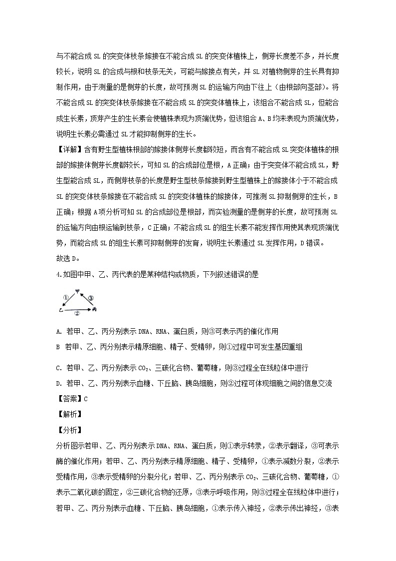 湖南省邵阳市2020届高三上学期第三次联考理综生物试题03