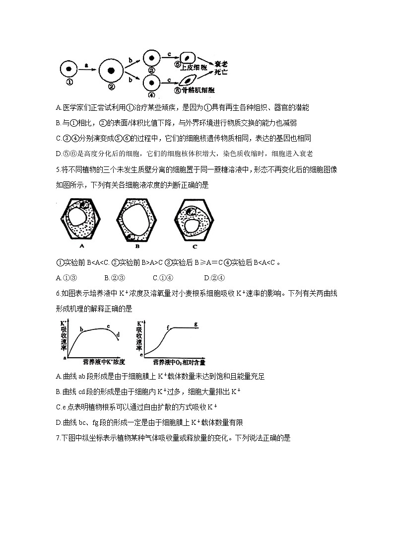 江西省临川2020届高三上学期第一次联考试题 生物02
