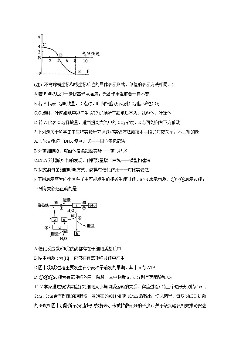 江西省临川2020届高三上学期第一次联考试题 生物03