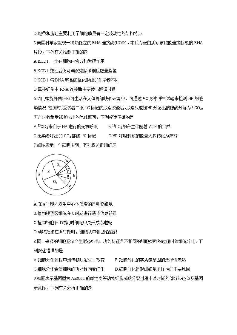 金科大联考2020届高三上学期10月联考试题 生物第2页