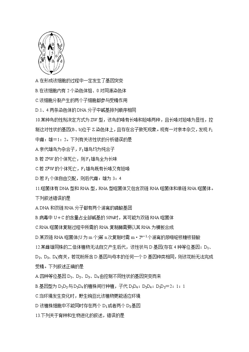 金科大联考2020届高三上学期10月联考试题 生物第3页