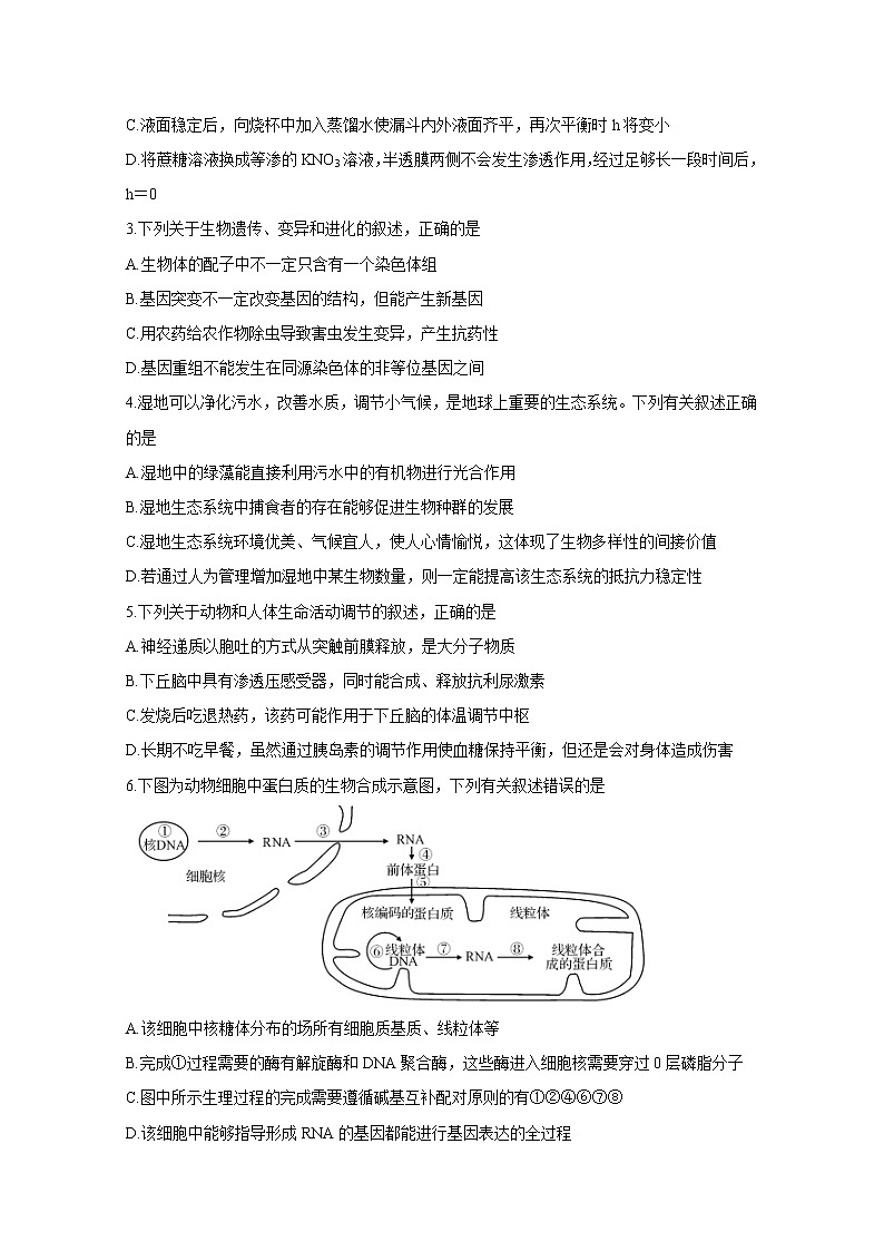 河南省2020届高三下学期5月联考试题　生物02