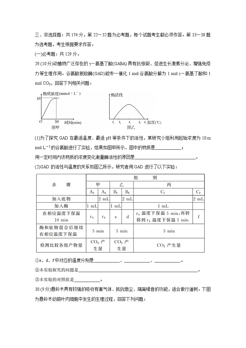 河南省2020届高三下学期5月联考试题　生物03