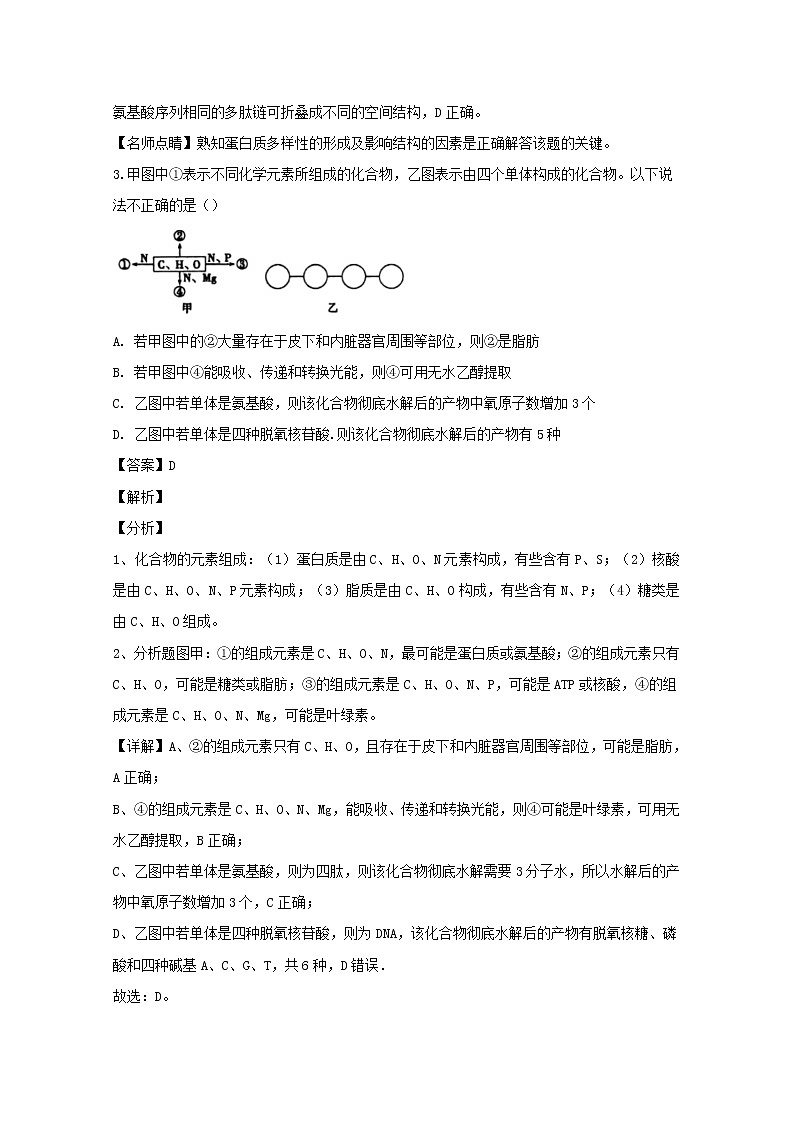 福建省厦门市双十中学2020届高三上学期开学考试生物试题02