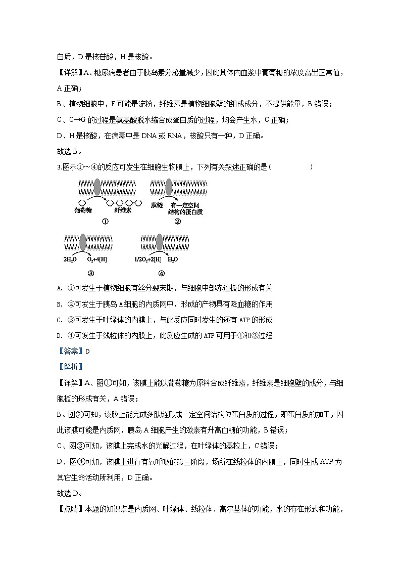 天津市耀华中学2020届高三上学期开学考试生物试题02